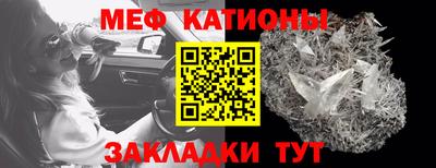 шишки Аргун